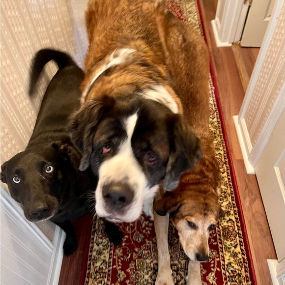 Hi! I’m Jen - Picture 8 of 14